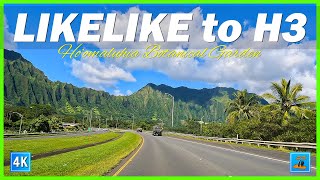 Hawaii Morning Drive 🌈 HI-63 Likelike Hwy 🚍 Hoomaluhia Botanical Garden 🛺 H3 Freeway 🌴 Hawaii 4K