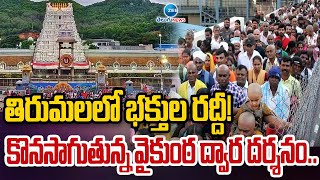 Huge Devotees Rush In Tirumala | తిరుమలలో భక్తుల రద్దీ!  కొనసాగుతున్న వైకుంఠ ద్వార దర్శనం.. | ZEE