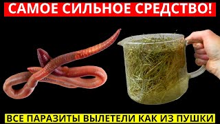 САМОЕ СИЛЬНОЕ СРЕДСТВО ОТ ПАРАЗИТОВ (ГЛИСТОВ)