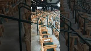Tiger Den Comerica Park review