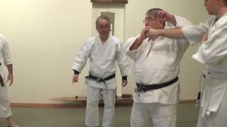 Nihonden Daitoryu Aikijujutsu 2017 - 5 日本伝大東流合気柔術