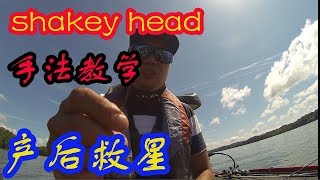 玩转路亚Shakey Head铅头钩教学/How to fish a shakey head for bass