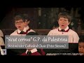 Palestrina 