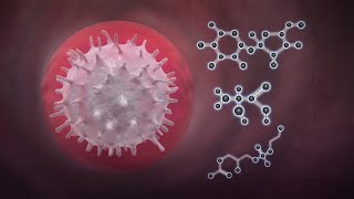 Researchers uncover bacteria's drug defense system
