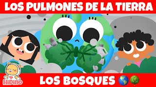 🌲🌏 Los Pulmones De La Tierra 🌳🌎| Cuidado del medio ambiente | HiDino Canciones Para Niños