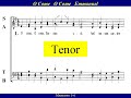 O Come O Come Emmanuel - Tenor
