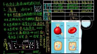 高一生物1-3觀念06滲透作用對細胞的影響