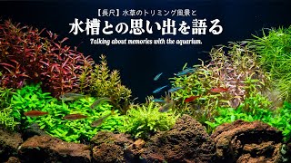 【60cmスリム水草水槽】育て上げた水草水槽との思い出を語り、のんびりとメンテナンスをする動画【ビバアクア】 #アクアリウム #熱帯魚