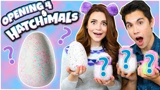 OPENING 4 HATCHIMALS! Hatching Fun Surprise Eggs