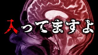 【怪談朗読】「入ってますよ」 都市伝説・怖い話朗読シリーズ・ヤミツキなろうコン優勝作品 原作：にのい・しち