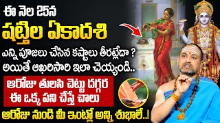 Shattila Ekadashi 2025 | Shattila Ekadashi Pooja Vidhanam in Telugu | Nandibhatla Srihari Sharma