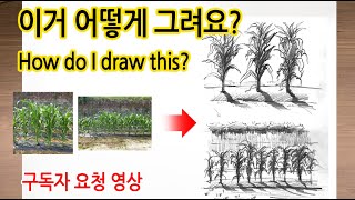 구독자 요청 영상 #9_옥수수 그리기(drawing corn)#WithMe#StayHome#집에서함께그림그려요