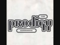 The Prodigy  Your Love (Remix)