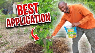"Secret to Explosive Fruit Tree Growth" - Fertilizing Tips That Work!