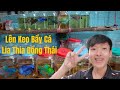 Lên Keo Bầy Cá Lia Thia Đồng Thái | Thích Thử Thách Vlog