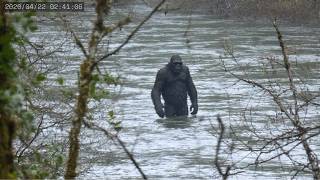 Terrifying Creatures Caught on Camera That Shocked the World Vol .02