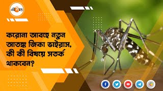 দেশে নয়া আতঙ্ক জিকা ভাইরাস।Zika Virus।