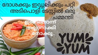 ദോശക്കും ഇഡ്ഡലിക്കും ഇതൊന്ന് തയ്യാറാക്കി നോക്കൂ 🤤👍 | tasty chammandi for dasa/ idli |