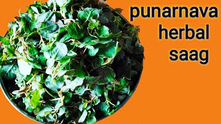 punarnava herbal saag | Gadhapurni Saag