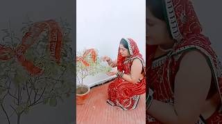 घर में इन पेड़ों का होना बहुत जरूरी है #manju #subscribe #youtubeshorts #viralvideo