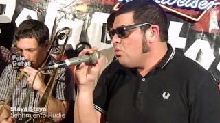 Staya Staya - Reggae en PelaGatos - Sentimiento Rudie