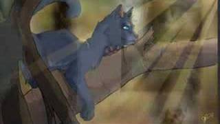 bluestar's last song