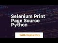 selenium print page source python