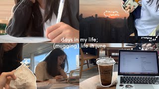 days in my life; studying in june | nlb, starbucks, studying, books !!