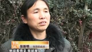 美丽中国乡村行 [生活567]危险的距离(20120215)