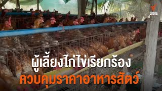 ผู้เลี้ยงไก่ไข่เรียกร้องควบคุมราคาอาหารสัตว์