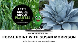 Episode 172: Focal Points with Susan Morrison