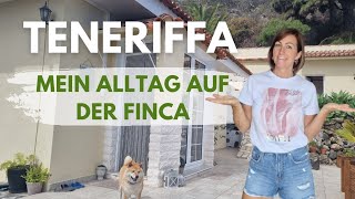 Mein Alltag auf Teneriffa!