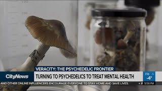 Turning to psychedelics to treat mental health
