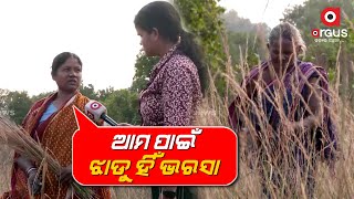 Bargarh: Village Women Make Brooms for Living Instead of Waiting for Odisha Government's Assistance