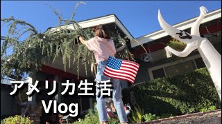 【アメリカ生活/Vlog】とある1日|ハロウィン準備🎃【国際カップル】