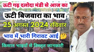 ऊटी गढ़ दलोदा मंडी से आज का ऊटी बिजवारा भाव, 25 अगस्त 2024 रविवार ||ooty