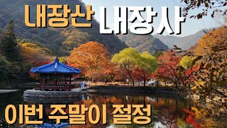 구암사-백암산-내장산.내장사. 화려한 단풍축제.우화정은 역시