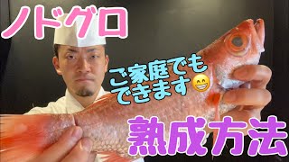 ノドグロの熟成方法😁ついでにメイチダイもやりました🤤#魚の捌き方#熟成#釣り#津本式