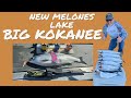 New Melones Kokanee late spring  bite has matured fishing techniques must adapt do this catch fish