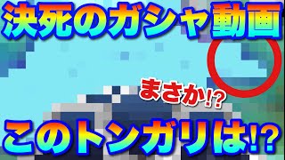 【実況ガンダムウォーズ】マスター1点狙い、決死の覚悟でフェス限ガシャ回します！そして迎えたビッグチャンス！？あのトンガリは！？