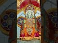 makar sankranti special maa dhamarai temple trending viral