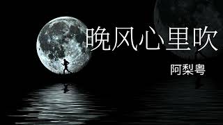 《晚风心里吹》 -阿梨粤-1小时连播版『动态歌词 』| Tiktok China Music | Douyin Music |
