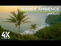 Calming Ocean Waves Sounds & Gentle Birds Songs - Peaceful Ambience of Hawaii in 4K UHD