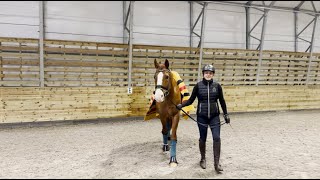 Første film utenfor stallen – rir min venninnes hest 🐎