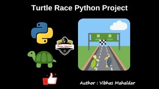 Turtle Race Python Project: Complete Guide | #turtle #developer #developeroption