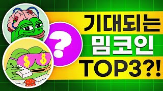 12월, 주목할만한 밈코인 TOP3?!