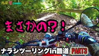 ナラシツーリングin酷道 PART3 ヤバめな遭遇\u0026酷道への誘い編　FlatMan motovlogs #スクランブラー #caballero #scrambler モトブログ鹿児島#233