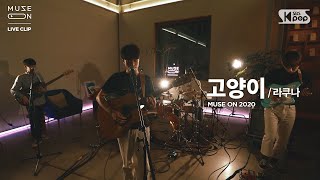 [MUSE ON] 라쿠나 Lacuna - 고양이 The day before I met you