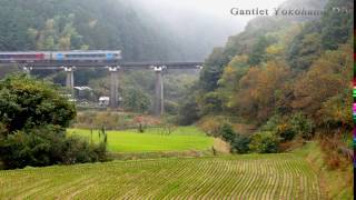 土佐くろしお鉄道　若井－荷稲　特急あしずり1号