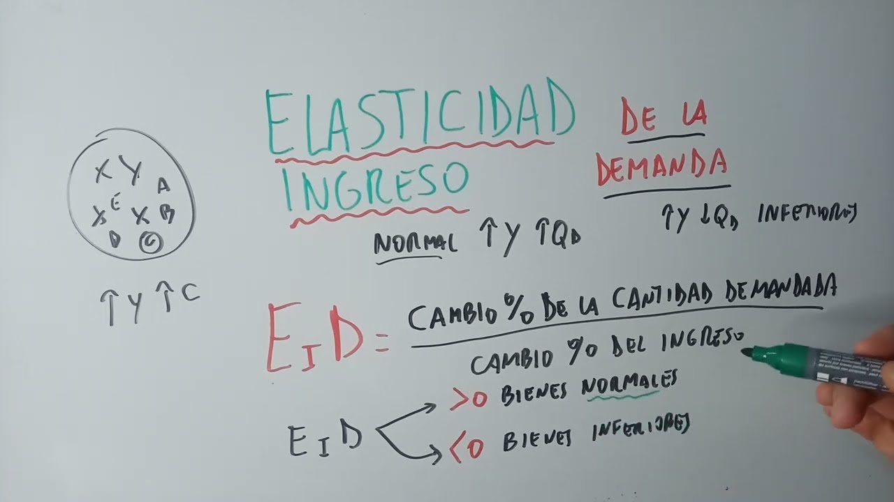 Elasticidad Ingreso De La Demanda - YouTube